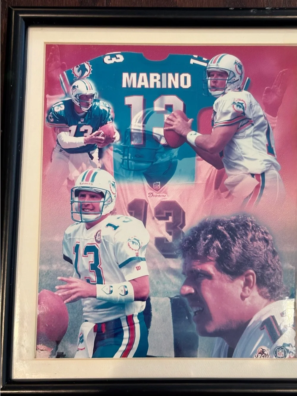 Dan Marino Miami Dolphins Framed Statistics Collectible Memorabilia 15 x 12 Inch